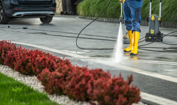 Best Patio and Deck Pressure Washing  in Philmont, NY